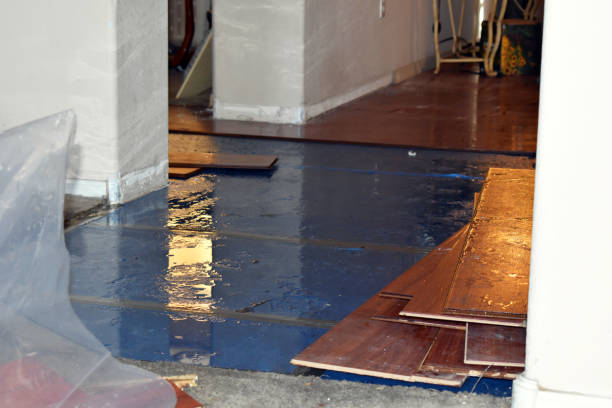 Professional Sewage Cleanup technician working in Decatur, MI