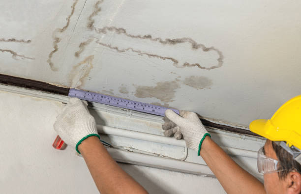 Reliable Sewage Cleanup contractor in Decatur, MI by Local Water Damage Repair